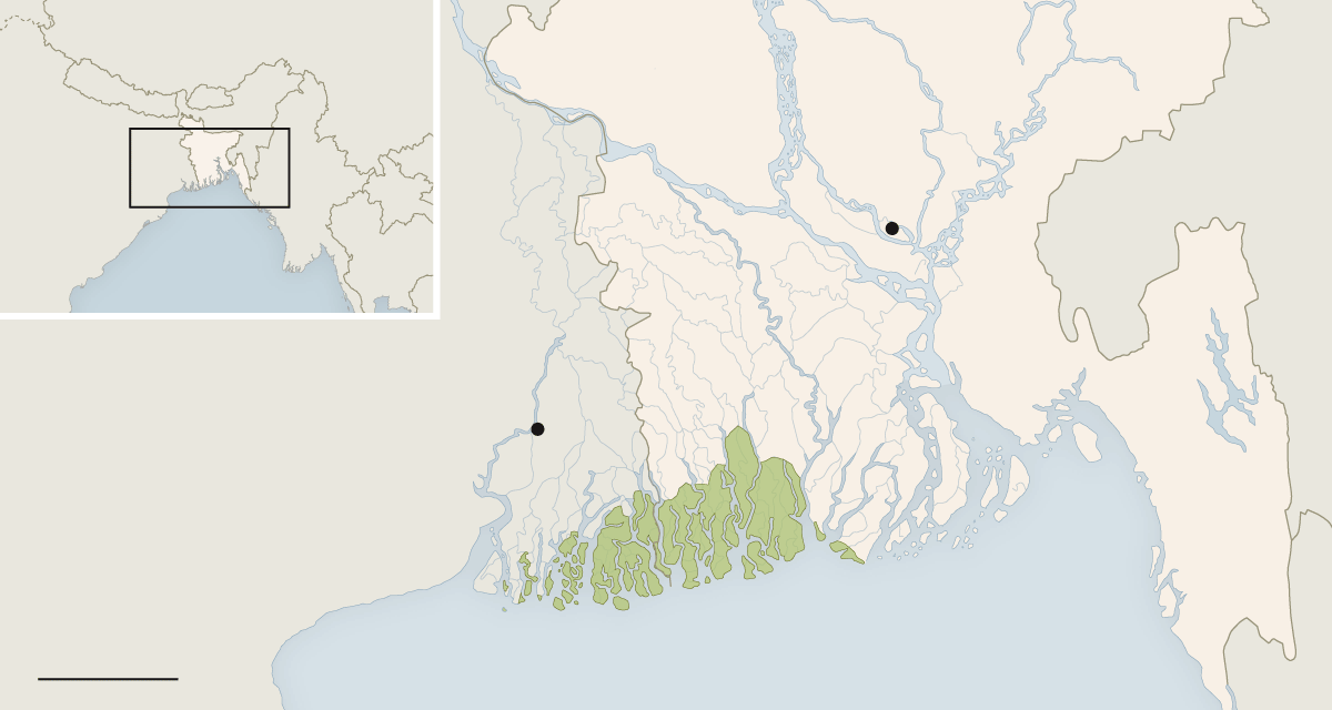 Map of the Sundarbans, part of the Ganges River Delta, where Cholera first emerged. Source: World Wildlife Fund